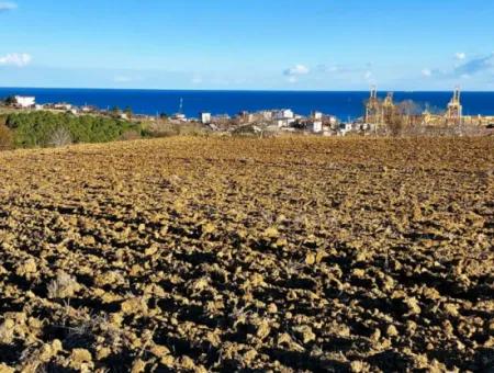 Tekirdağ Barbaros Asyaport Limanına Yakın, Muazzam Manzaralı 17.100 M2 Konut İmarlı Tarla