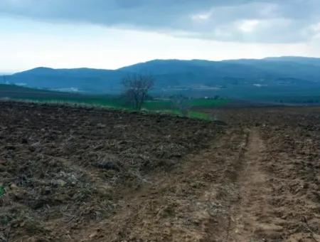 Tekirdağ Barbaros Bölgesinde Asyaport Limanı Mevcut İmar Planı İçinde Ticari Ve Sanayi Alanı Yatırım Fırsatı