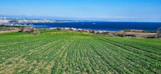 Tekirdağ Barbarosta 75 Adet Villa Projesine Uygun Full Deniz Ve Doğa Manzaralı Arazi