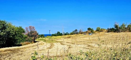 Asyaport Limanına Yakın 615 M2 Kelepir Köşe Arsa
