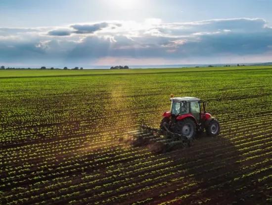 Tekirdağ Süleymanpaşa  Aşağıkılıçlı Mahallesi