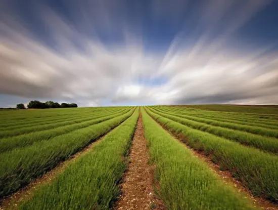 Tekirdağ Süleymanpaşa  Aydoğdu Mahallesi