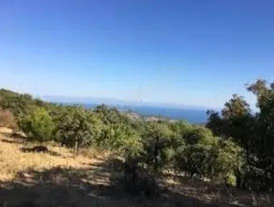 Tekirdağ Süleymanpaşa  Bahçelievler Mahallesi