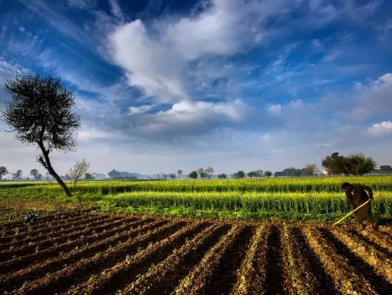 Tekirdağ Süleymanpaşa  Banarlı Mahallesi