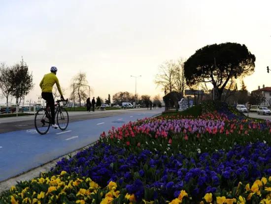 Tekirdag In Vendita, Affitto, Terreno, Campo, Appartamento, Casa Unifamiliare, Hotel, Villa, Hotel, Porto Di Msc Asia, Zonato, Affare, Mare, Natura, Paesaggio, Casa Prefabbricata